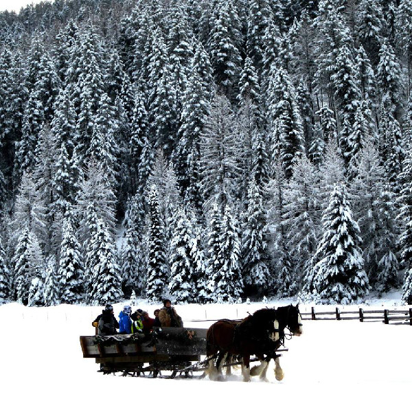 Bar W sleigh ride ranch Montana